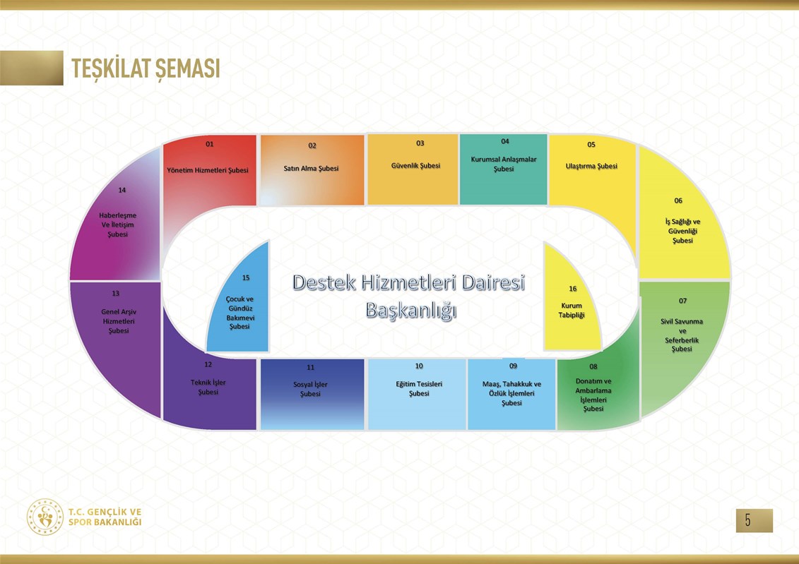 Teşkilat Şeması